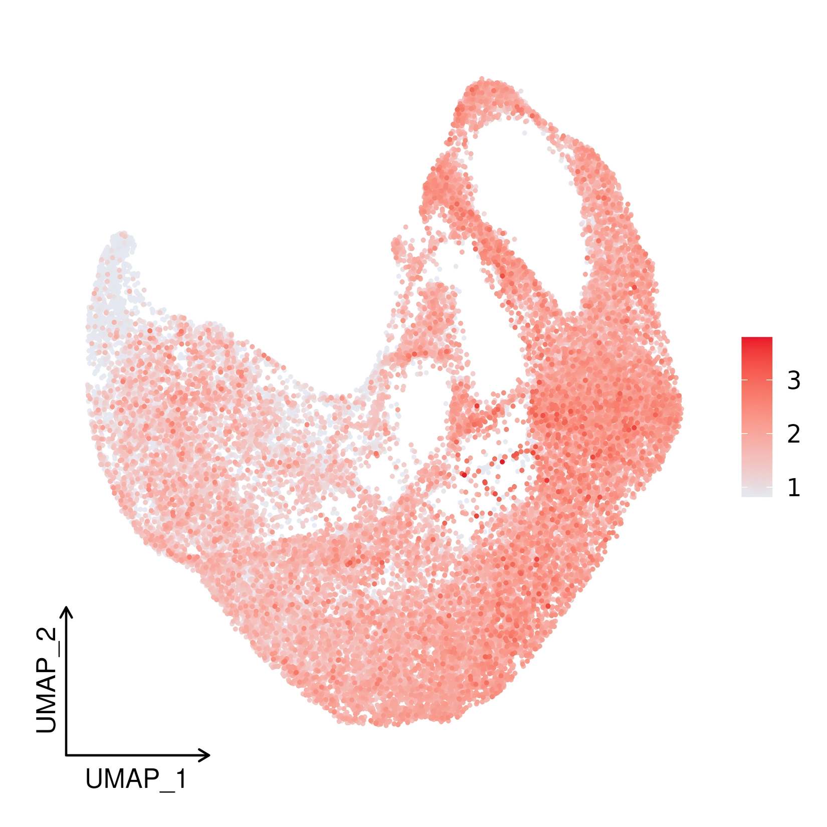 Gene expression